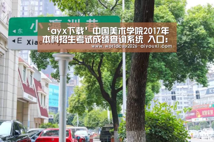 ‘ayx下载’中国美术学院2017年本科招生考试成绩查询系统 入口:http://61.130.6.247/bm/(图3) 爱游戏官方