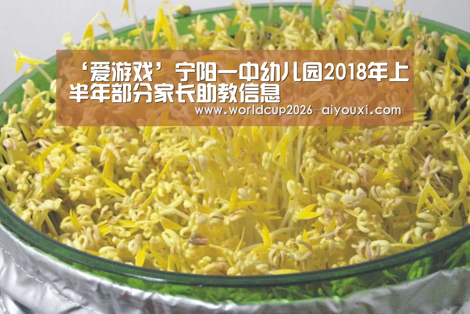 ‘爱游戏’宁阳一中幼儿园2018年上半年部分家长助教信息(图4) ayx下载