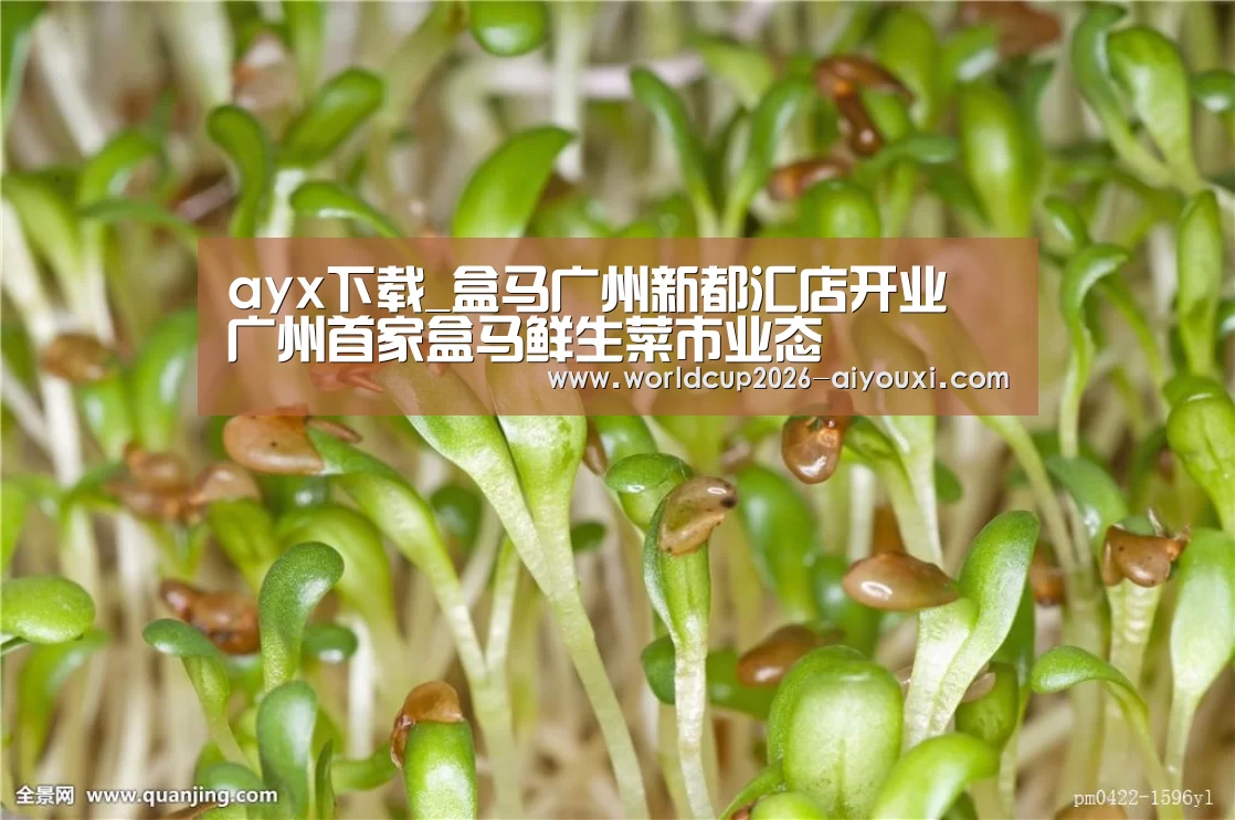 ayx下载